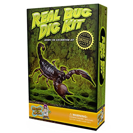 Real Insect Excavation Kit – Dig, Discover, and Collect 3 Real Bugs!