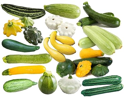 This is a Mix!!! 50  Zucchini and Squash Mix Seeds 12 Varieties Non-GMO Delicious Grown in USA. Rare Super Profilic