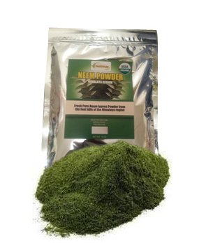 Neem Leaf Powder Certified Kosher Healthfuze 16 oz 1lb bulk