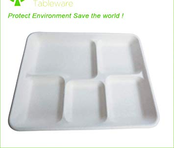 Disposable Plates, 5 Compartment Food Tray, 100% Eco Friendly Compostable Sugar Cane Heavy Duty Fiber Plate, 10.2x8.2'', 100 Packs
