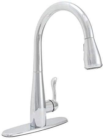 Premier Faucet 2495807 Pull-Down Kitchen Faucet with Single Handle, 1.8 Gpm, Chrome