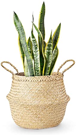 Mkono Seagrass Plant Basket Indoor Planter Decorative Flower Pot Cover Up to 10 Inch Pot, 1 Pack, Medium