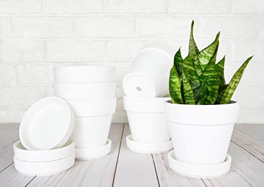 My Urban Crafts 4.7 Inch Plant Pots Indoor Set of 6 Round Ceramic Planters with Saucer Modern Decorative Garden Flower Pots with Drainage White Pots for Succulents, Snake Plants (Matte White Bisque)