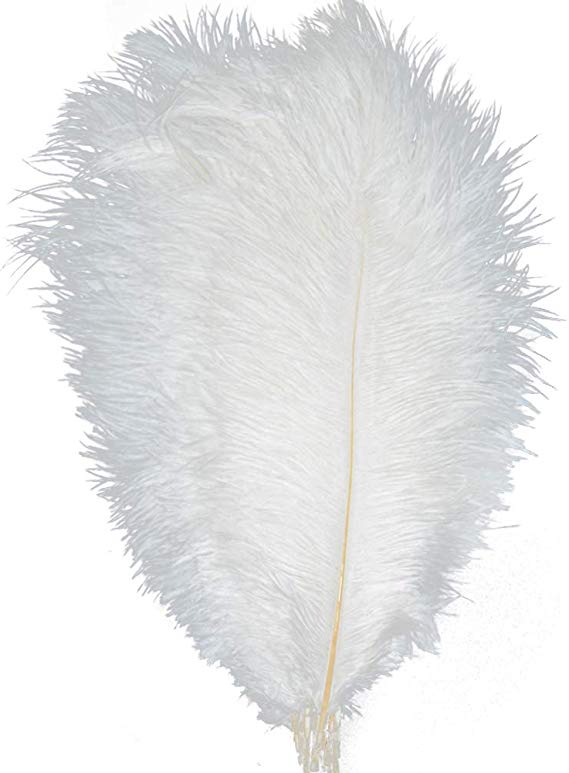 KOLIGHT10pcs Ostrich Feather White 12"-14" Natural Feathers Wedding, Party,Home,Hairs Decoration