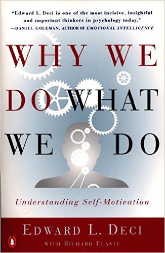 Why We Do What We Do Understanding Self-Motivation