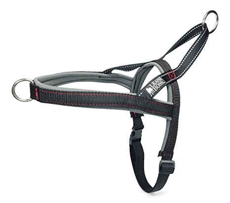 Leashboss No-Pull Dog Harness - Front and Rear Clip - Reflective - Padded for Walking and Training
