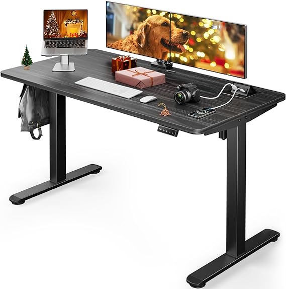 ErGear Electric Standing Desk Adjustable Height, 48 x 24 Inches Desktop with Hidden AC&DC Outlet, Socket Tray, Anti-Collision, Ergonomics, Home Office, Game, Black