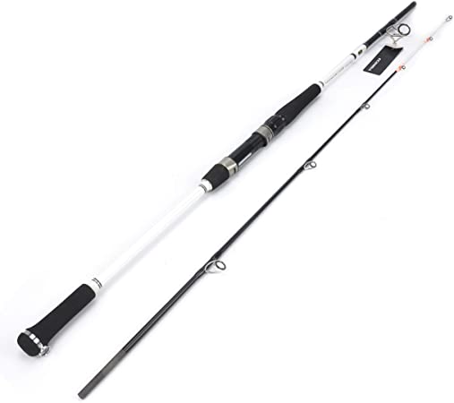 Ecooda 2-Pieces Saltwater Offshore Casting/Spinning Carbon Fiber Boat Fishing Rod Portable Travel Fishing Rod with Pearlized Color Rod Tip (Length 6＇6＂/7＇6＂/8＇6＂ Max Drag 35/44/57 LB)