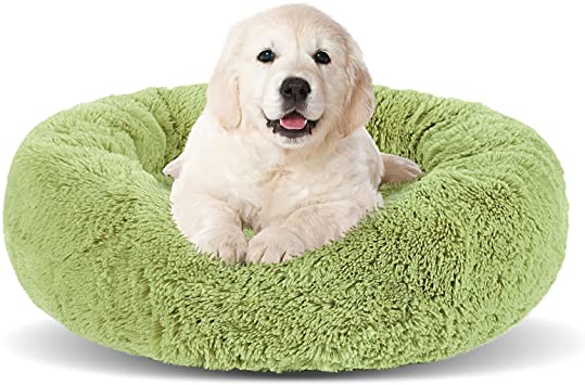 JOEJOY Round Dog Bed,Small Dog Bed for Small Dogs and Cats,Calming Donut Cuddler,Orthopedic Cat Beds for Indoor Cats,Short Plush Anxiety Dog Beds,Machine Washable, 23 inches Green