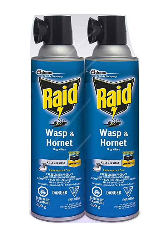 Raid Wasp & Hornet Killer, 2 x 400g, value pack