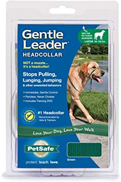 PetSafe Gentle Leader Headcollar, Large, Green