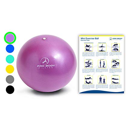 Mini Exercise Ball - 9 Inch Small Bender Ball for Stability, Barre, Pilates, Yoga, Core Training and Physical Therapy