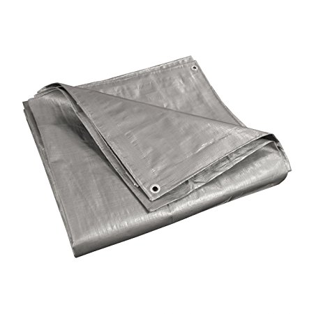 ALEKO TR20X20SL 20X20 Feet Heavy Duty Tarp Multi-Purpose All Weather Polyethylene Tarpaulin, Silver