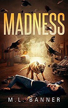 MADNESS: An Apocalyptic-Horror Thriller (Madness Chronicles Book 1)