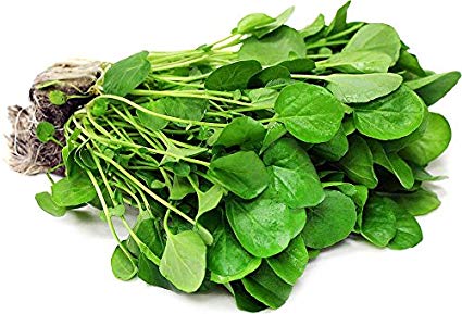 200  ORGANICALLY Grown Watercress Seeds Heirloom Non-GMO Delicious and Healthy, Superfood! Easy to Grow! from USA