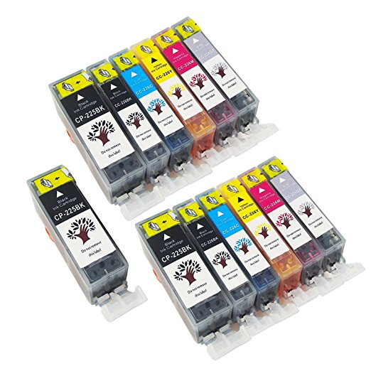 GREENSKY 13 Pack Compatible Ink Cartridge Replacement For Canon PGI-225 & CLI-226 (3BX,2B,2C,2M,2Y,2G) Compatible With Canon MG8220 MG6220 PIXMA MX892 MG5120 MG5320 MG6120 MG5220 MG8120 iP4820 iP4920