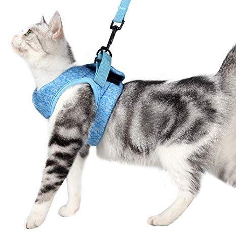 Yult Cat Harness and Leash Set Ultra-Light Kitten Collar Soft and Comfortable Cat Walking Jacket with Running Cushioning and Anti-Escape Suitable for Puppies Rabbits with Cationic Fabric