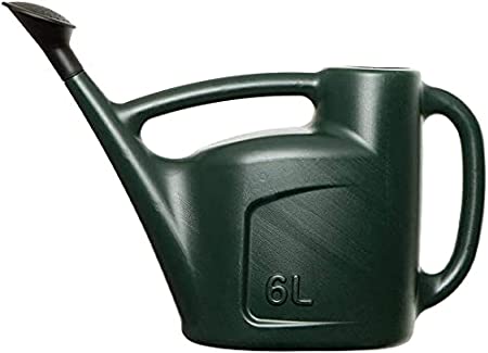 St@llion 6L Watering Can, Green Plastic Watering Can with Rose Garden Plants Indoor Outdoor Water Sprinkler- Pack of 1 (Green)
