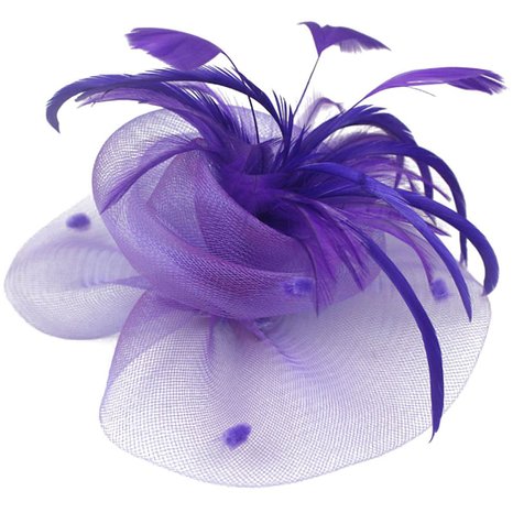 Fascinator Cocktail Hat Feather Net Hair Clip Pillbox Hat for Women