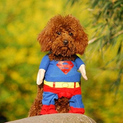 Alfie Pet by Petoga Couture - Superhero Costume Superman