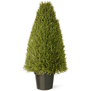 National Tree 36 Inch Upright Juniper Tree in Green Round Plastic Pot (LCY4-36)