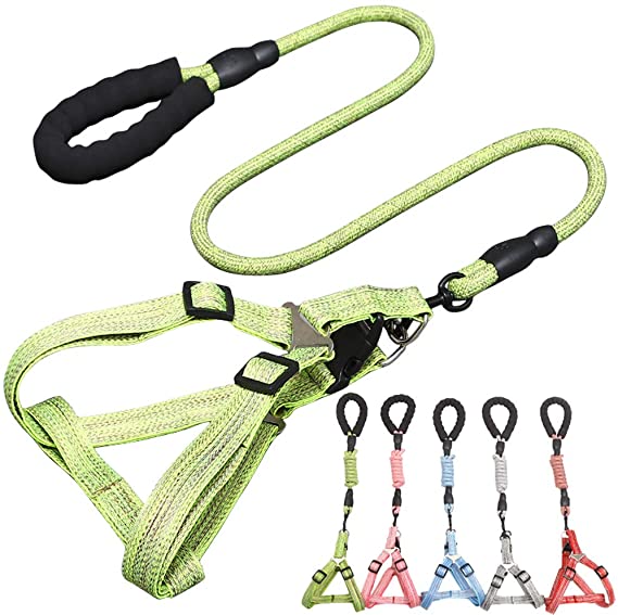 CHBORLESS No Pull Dog Harness Leash Set Adjustable Vest Durable Heavy Duty Training Dog Leash Puppy Basic Harness Leash for Small Dogs