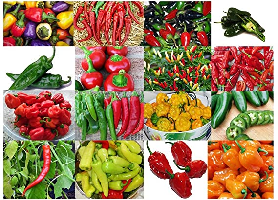 Please Read! This is A Mix!!! 30  Hot Pepper Mix Seeds, 16 Varieties Heirloom Non-GMO Habanero, Tabasco, Jalapeno, Yellow and Red Scotch Bonnet, Ships from USA! US Grown.