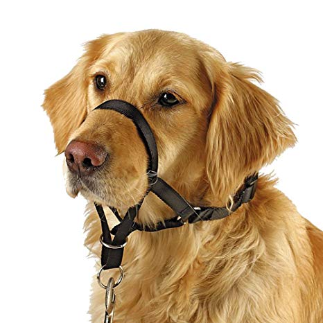 Barkless Dog Head Collar, No Pull Training Tool for Dogs on Walks, Includes Free Training Guide, 5