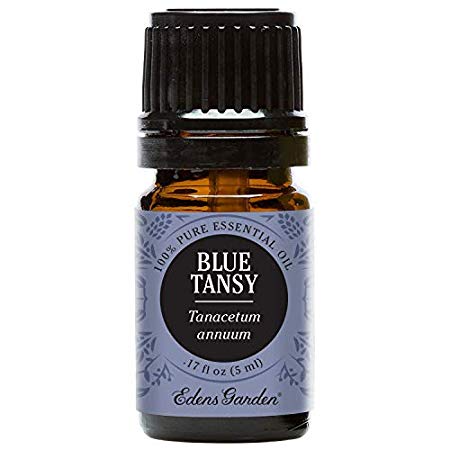 Blue Tansy Essential Oil (100% Pure, Undiluted Therapeutic/Best Grade) High Quality Premium Aromatherapy Oils by Edens Garden- 5 ml
