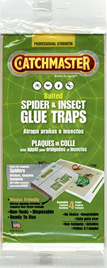 Spider & Insect Glue Trap - 4 Professional Strength Traps per Package