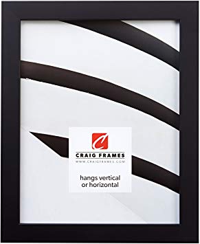 Craig Frames Confetti, Modern Black Picture Frame, 16 x 20 Inch