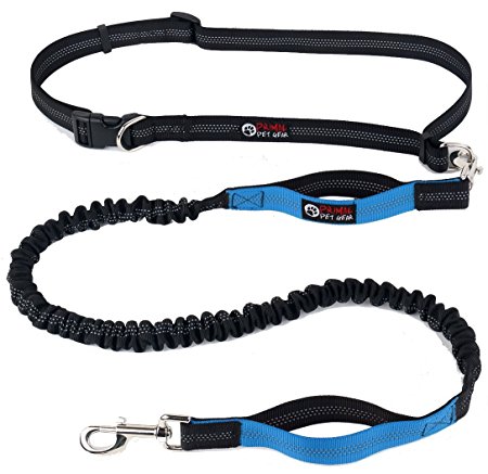 Primal Pet Gear Hands Free Dog Leash, Perfect for Handsfree Walking, Running, Hiking, Dual Handle for Control and Safety, Premium, 48" Long Bungee Lead, Suit Most Dog Breeds