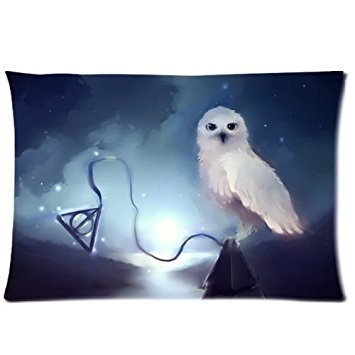 Harry Potter Custom Zippered Pillow Cases 20x26 (Two sides)