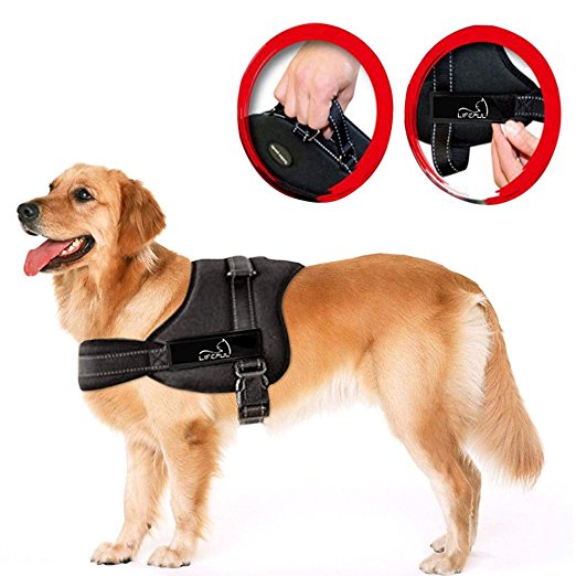 Lifepul(TM) No Pull Dog Vest Harness - Dog Body Padded Vest - Comfort Control for Large Dogs in Training Walking - No More Pulling, Tugging or Choking (L)