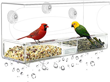 Wild Birds Outdoors Window Bird Feeder with 3 Super Strong Suction Cups & Sliding Tray, Large, Clear Acrylic, Easy Clean, Outdoor Bird Feeders, Outside View Up Close of Finch, Cardinal and Blue Jay