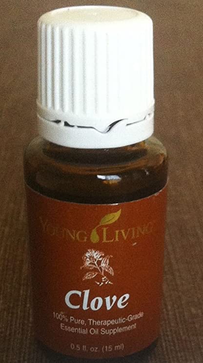 Clove 15 ml Essential Oil by Young Living Essential Oils