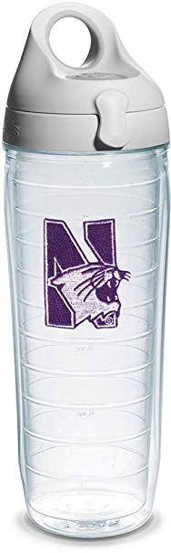 Tervis Northwestern University Emblem Individual Water Bottle with Gray Lid, 24 oz, Clear - 1073640