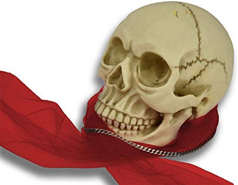 Vinsani® Life Size Replica Realistic Human Skull Gothic Halloween Decoration Ornament