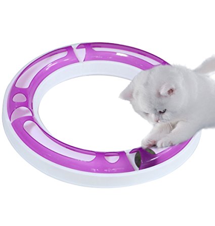 CEESC Cat Ball Track Toy Set, Puzzle Games and Race Track, Funny DIY Assemble for Your Favorite Kittens