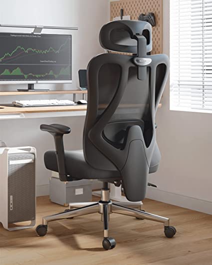 Hbada Ergonomic Office Chair with Adjustable Lumbar Support, Desk Chair for Big and Tall People with Adjustable Headrest, Swivel Computer Chair with PU Wheels, Backrest Tilt and Lock Any Angle Black