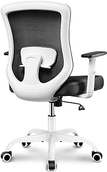 Winrise Office Chair, Ergonomic Home Office Desk Chairs, Breathable Mesh Comfortable Work Chair Adjustable 2D Armrests, Rocking Executive Chair, Swivel Task Chair with Lumbar Support (White)