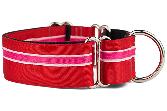 If It Barks 1.5" Martingale Collar for Dogs, Adjustable Nylon, Made in USA