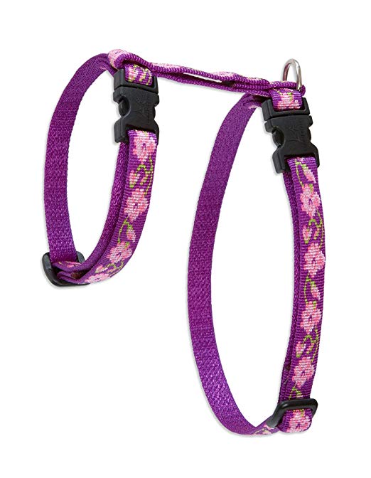 LupinePet 1/2 Inch Rose Garden H-Style Small Pet Harness