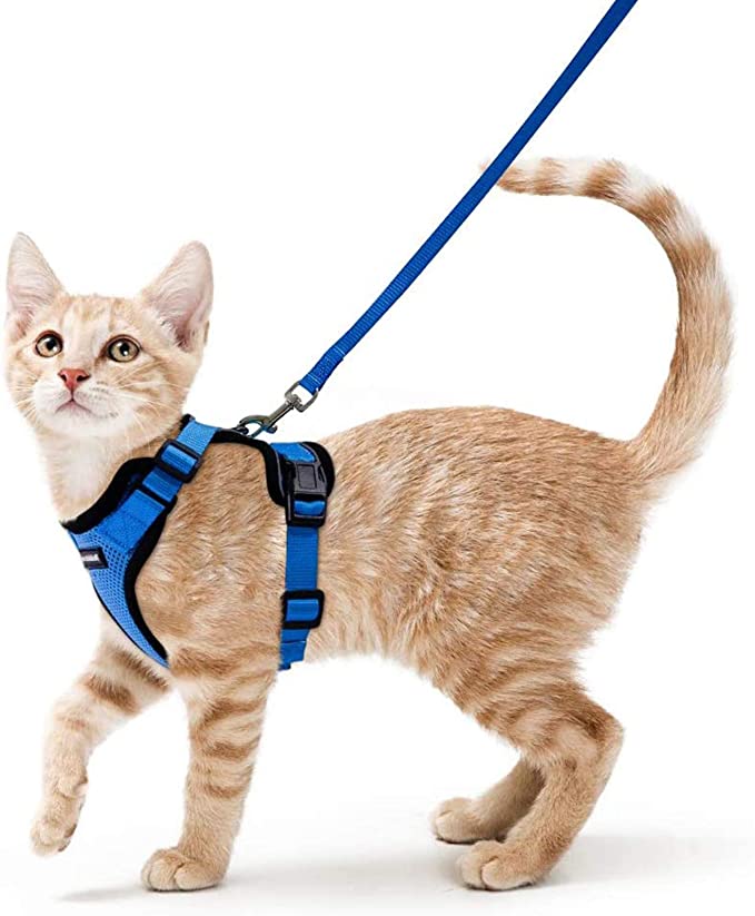 rabbitgoo Cat Harness and Leash for Walking, Escape Proof Soft Adjustable Vest Harnesses for Small Medium Cats, Easy Control Breathable Reflective Strips Jacket, S, Blue