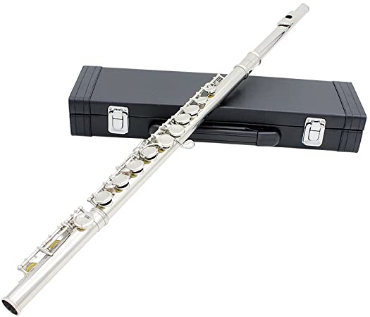 ammoon Flute Cupronickel Plated Silver 16 Holes C Key Woodwind Instrument with Cleaning Cloth Stick Gloves Mini Screwdriver Padded Case (Silver)