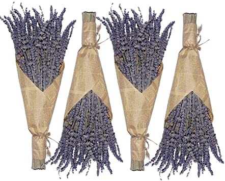 Cedar Space Dried Lavender Flowers - 4 Bunches Dried Lavender, Ideal Home Fragrance Products for Wedding, Party, Photography, Flower Arrangements & DIY Projects, 16 Inches Long