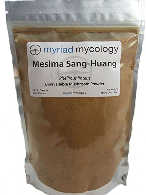 Mesima Mushroom (Sang Huang) Powder 1 lb