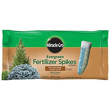 Miracle-Gro Fertilizer Spikes for Evergreens, 12-Pack (Not Sold in Pinellas County, FL)