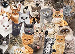 All The Cats 1000 Piece Jigsaw Puzzle
