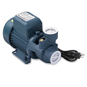 Neiko 50639 Electric Centrifugal Clear Water Pump, 1 HP